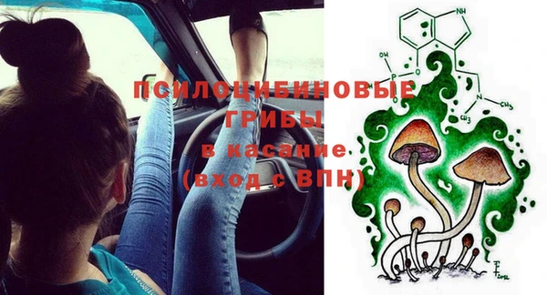 сатива Баксан