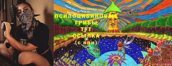 сатива Баксан